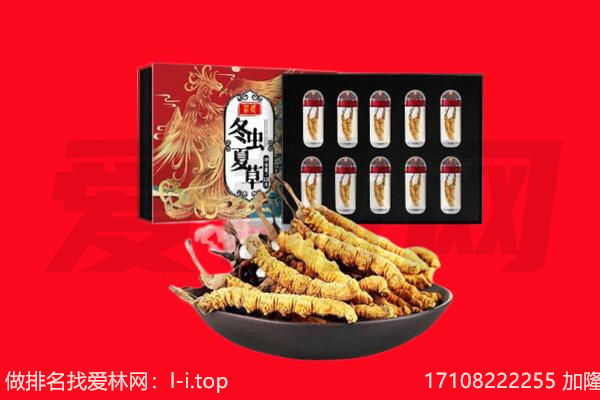 呼和浩特回收虫草.jpg